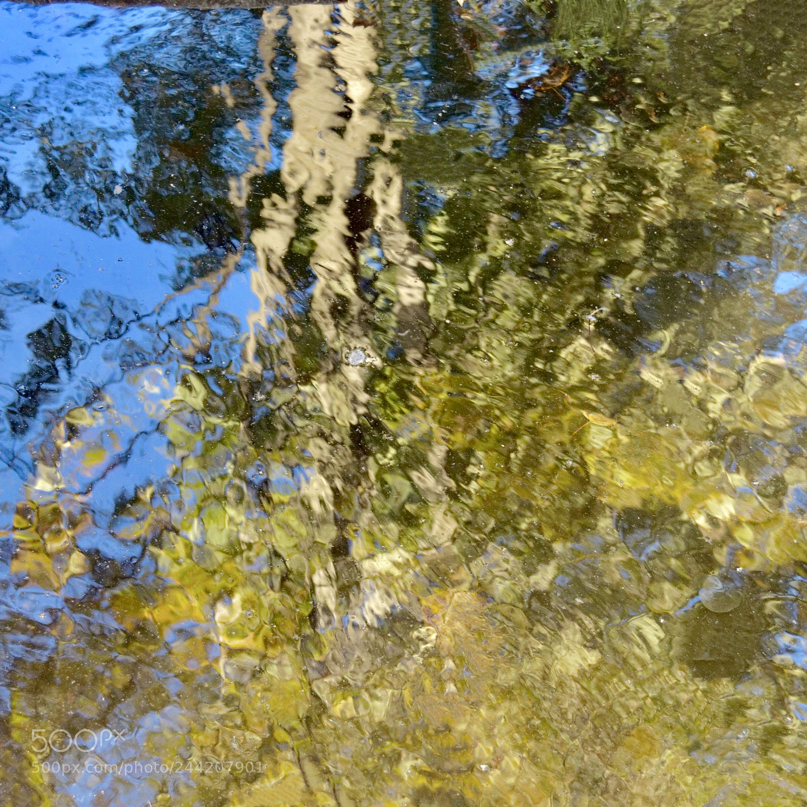 Nikon D3200 sample photo. Art reflection. photography