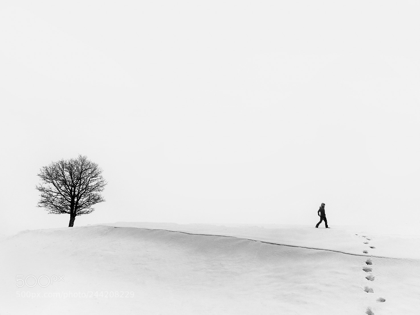 Olympus PEN-F sample photo. Winter minimalism photography
