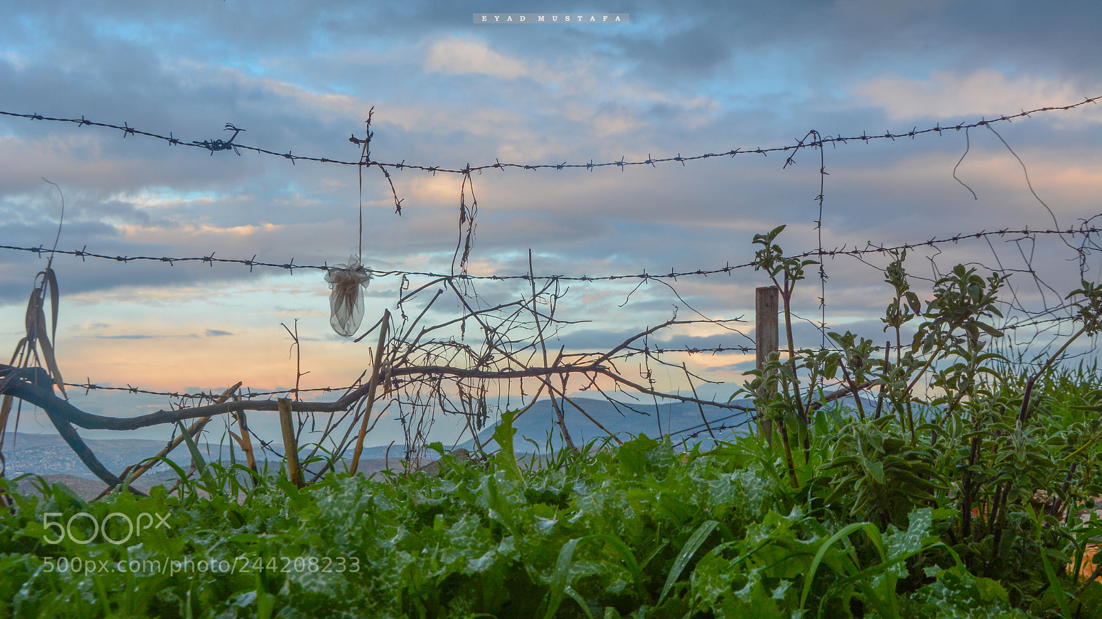 Nikon D7100 sample photo. Wire and sky photography