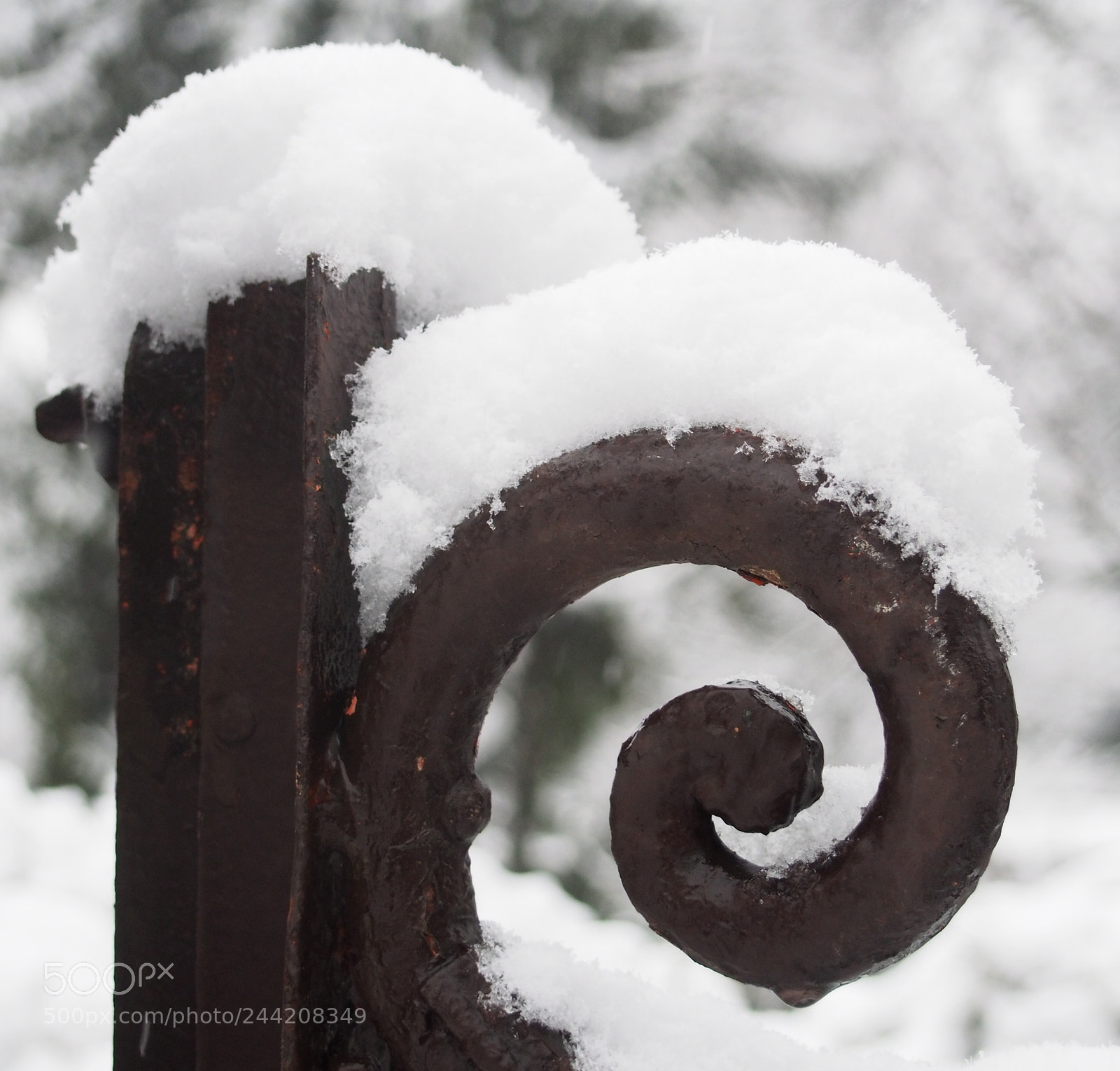 Olympus PEN E-PM2 sample photo. Snow on a fence photography