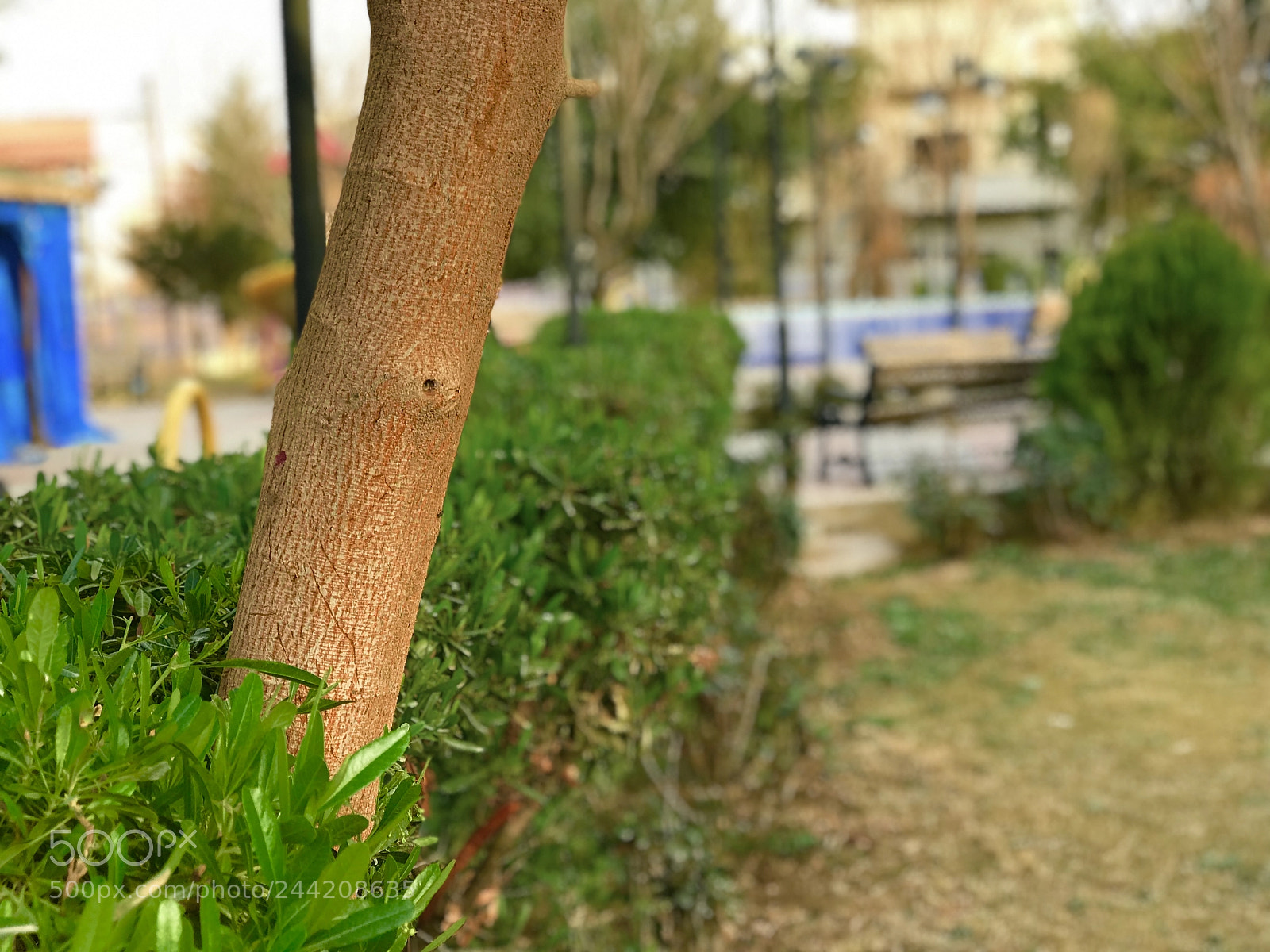 Apple iPhone 7 Plus sample photo. Portrait mode 4k iphone photography
