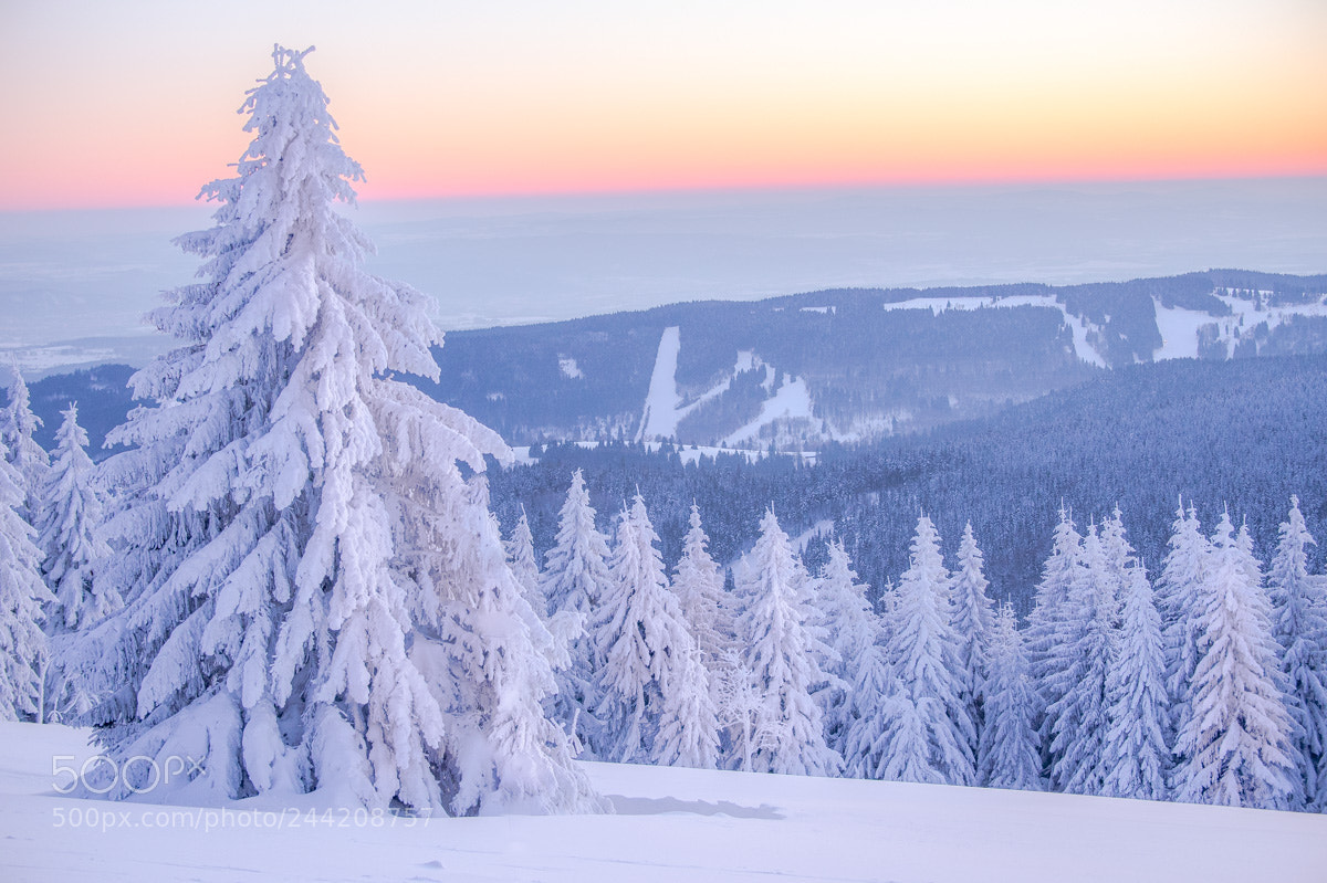 Nikon D4 sample photo. Sunset in the mountains. photography
