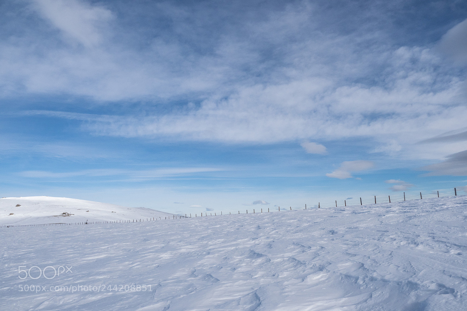 Olympus OM-D E-M1 Mark II sample photo. Winterdunes photography
