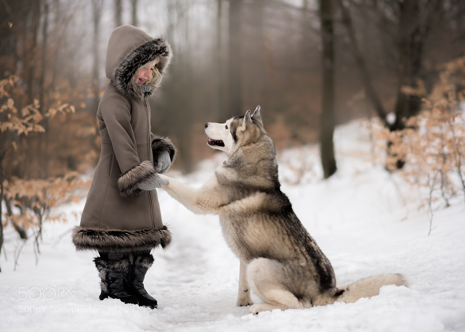 Nikon D810 sample photo. Making winter friends photography