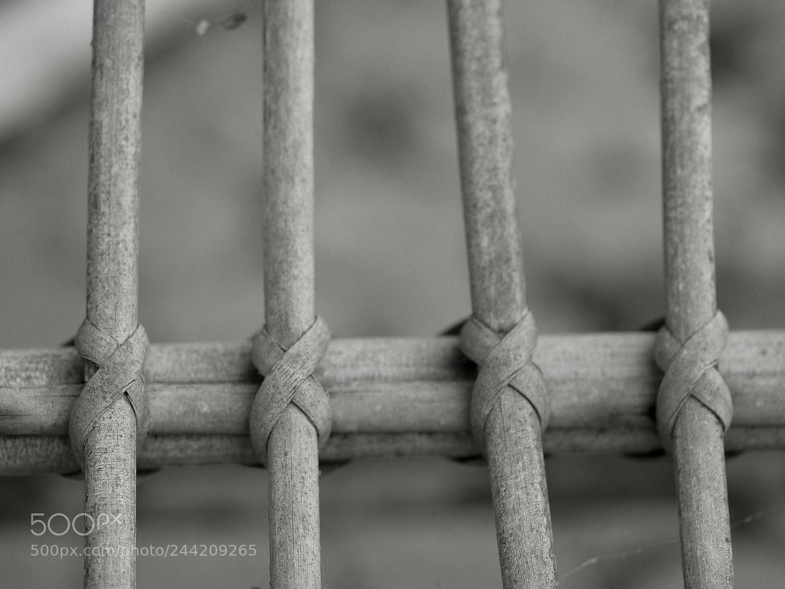 Olympus OM-D E-M10 II sample photo. Rocking chair photography