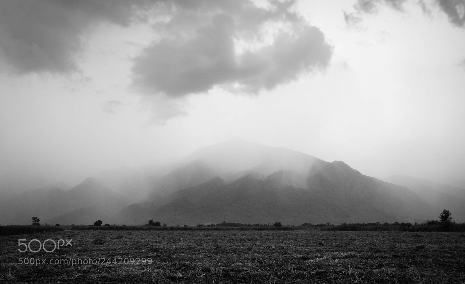 Nikon D3100 sample photo. Rainy weather photography