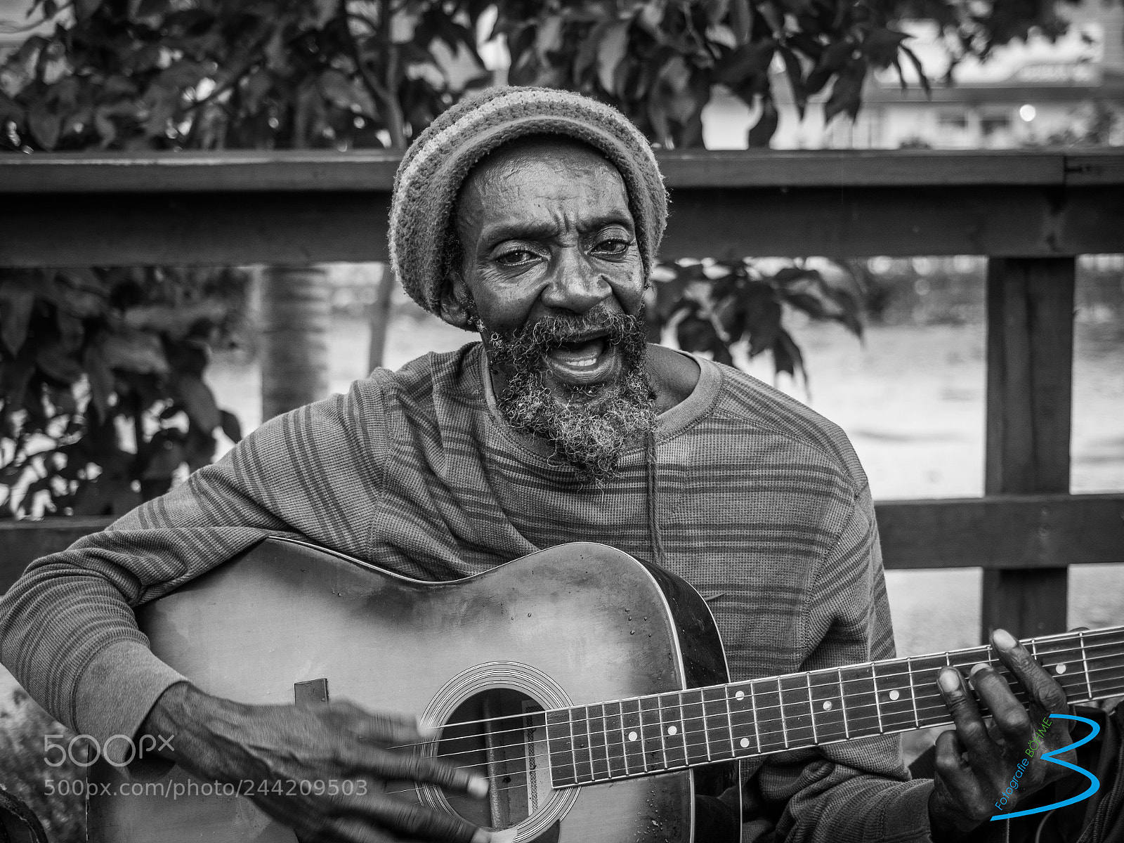 Olympus OM-D E-M1 sample photo. Rasta photography