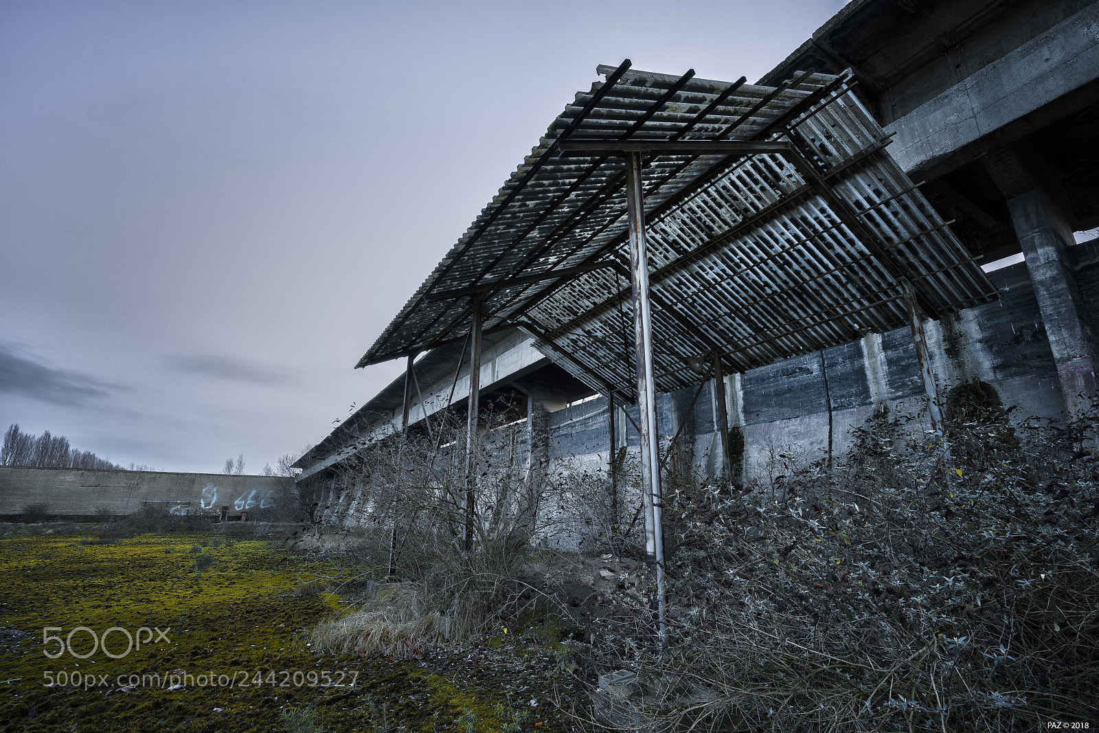 Sony a7R sample photo. Shelter photography