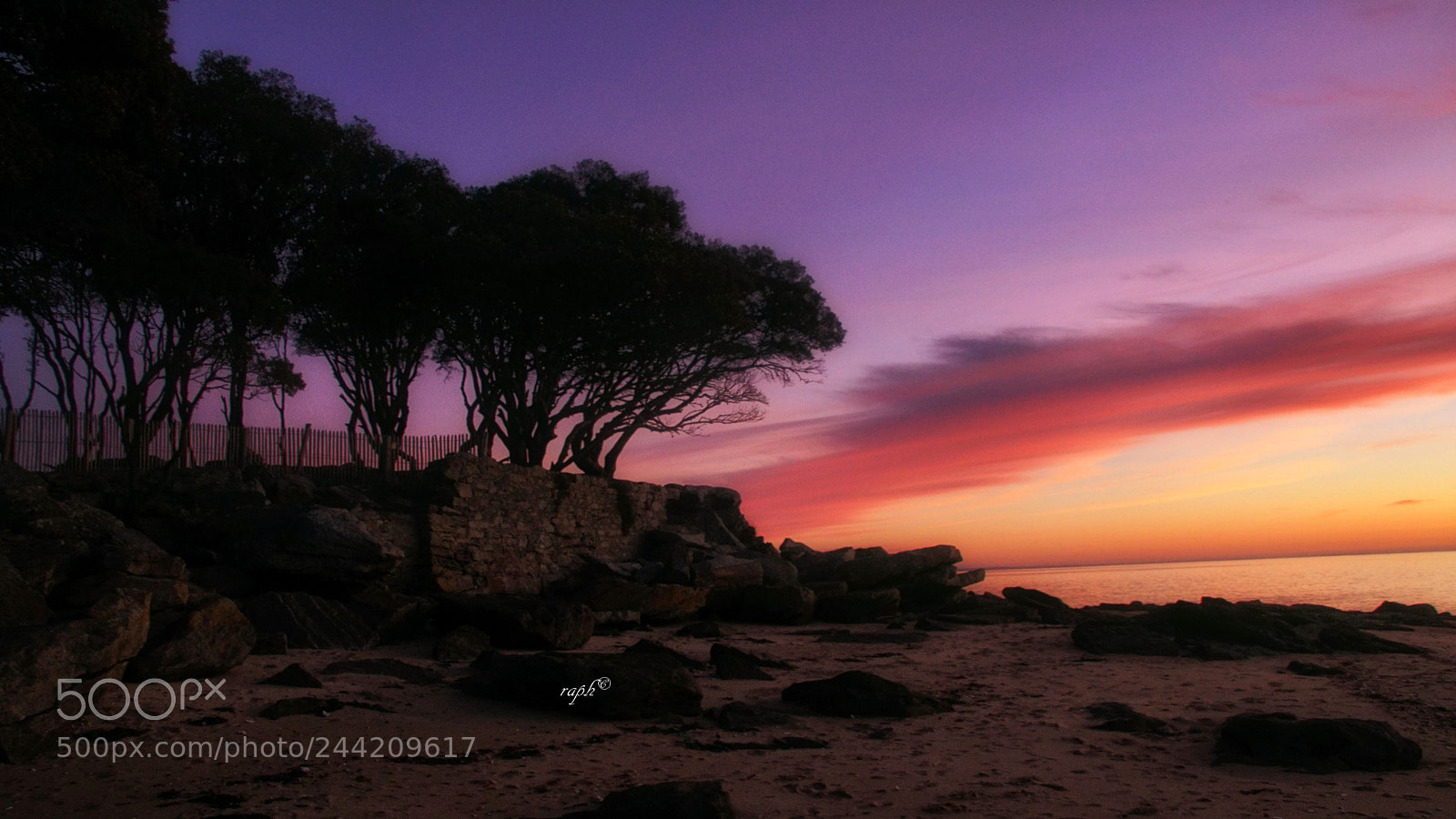 Sony ILCA-77M2 sample photo. Yeuses levant photography