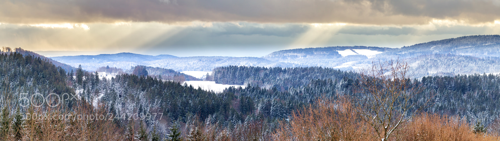 Canon EOS-1D Mark IV sample photo. Bavarian forest photography
