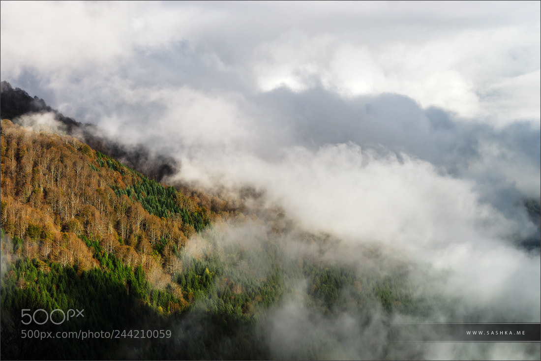 Sony Alpha a99 sample photo. Over the clouds in photography