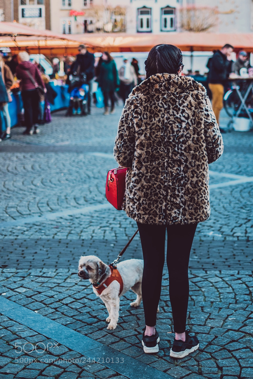 Fujifilm X-T20 sample photo. Dog and leopard photography