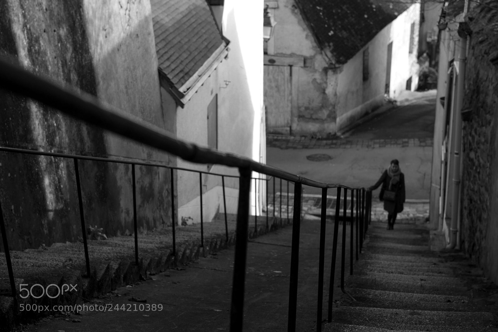 Nikon D800 sample photo. Walk photography