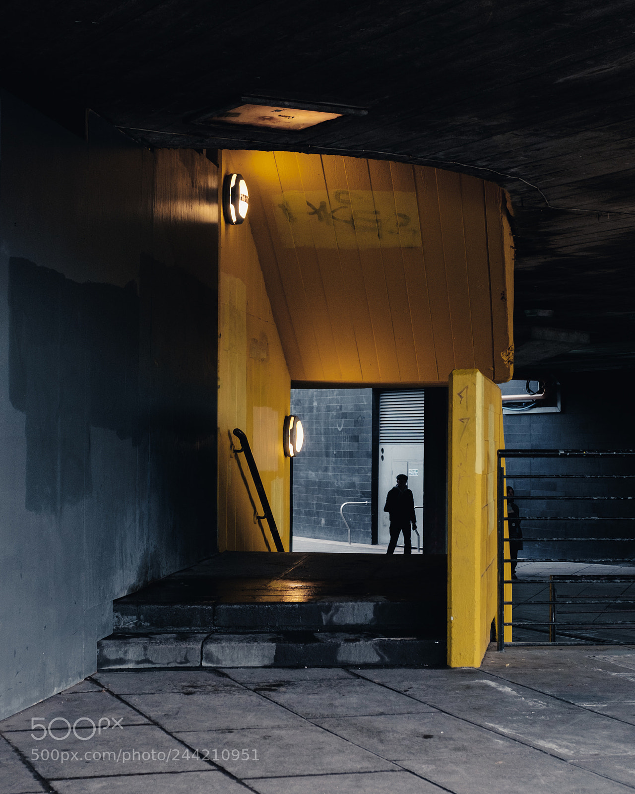 Fujifilm X-T1 sample photo. It was all yellow photography