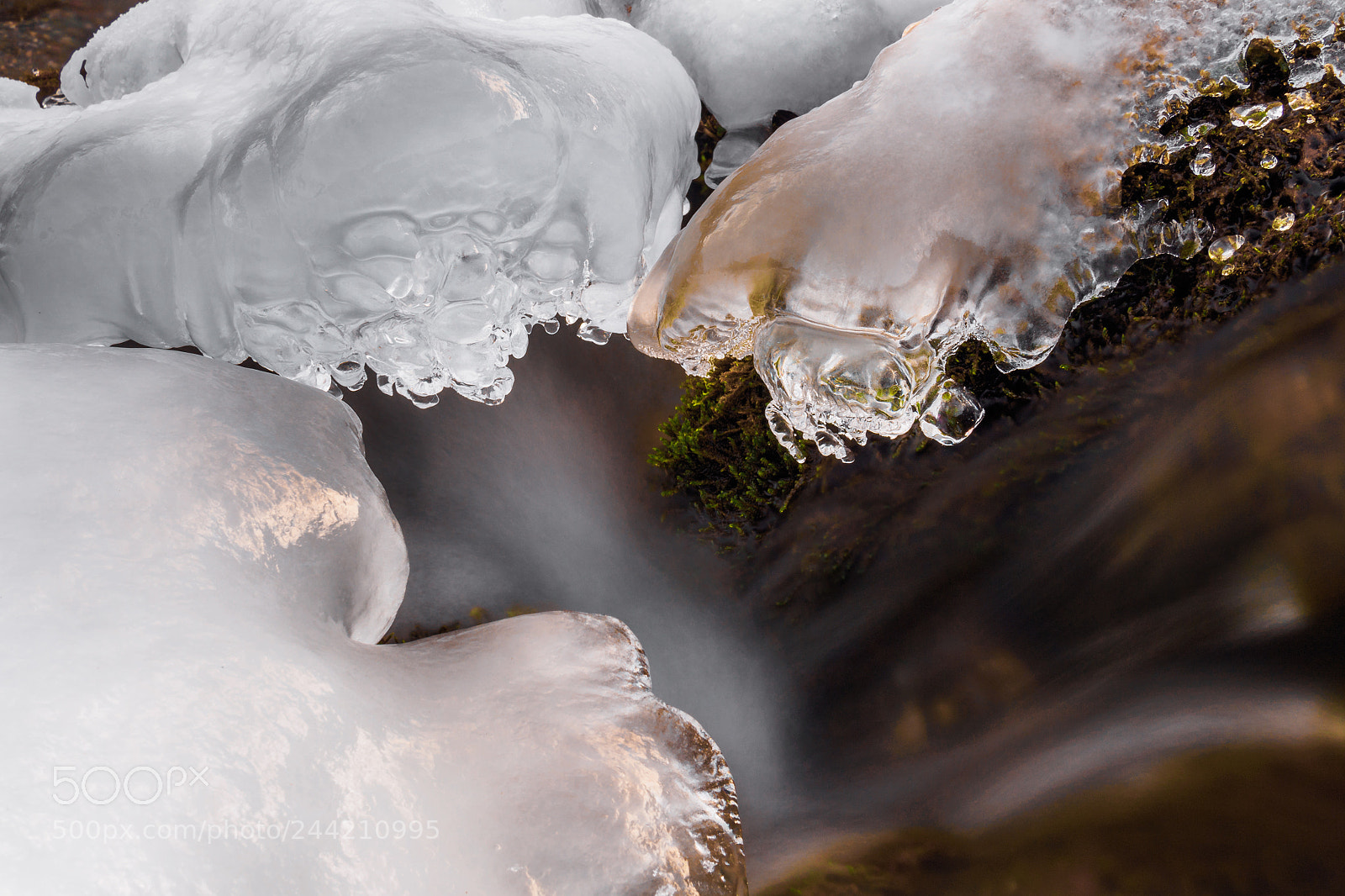 Olympus OM-D E-M10 sample photo. Winter life photography