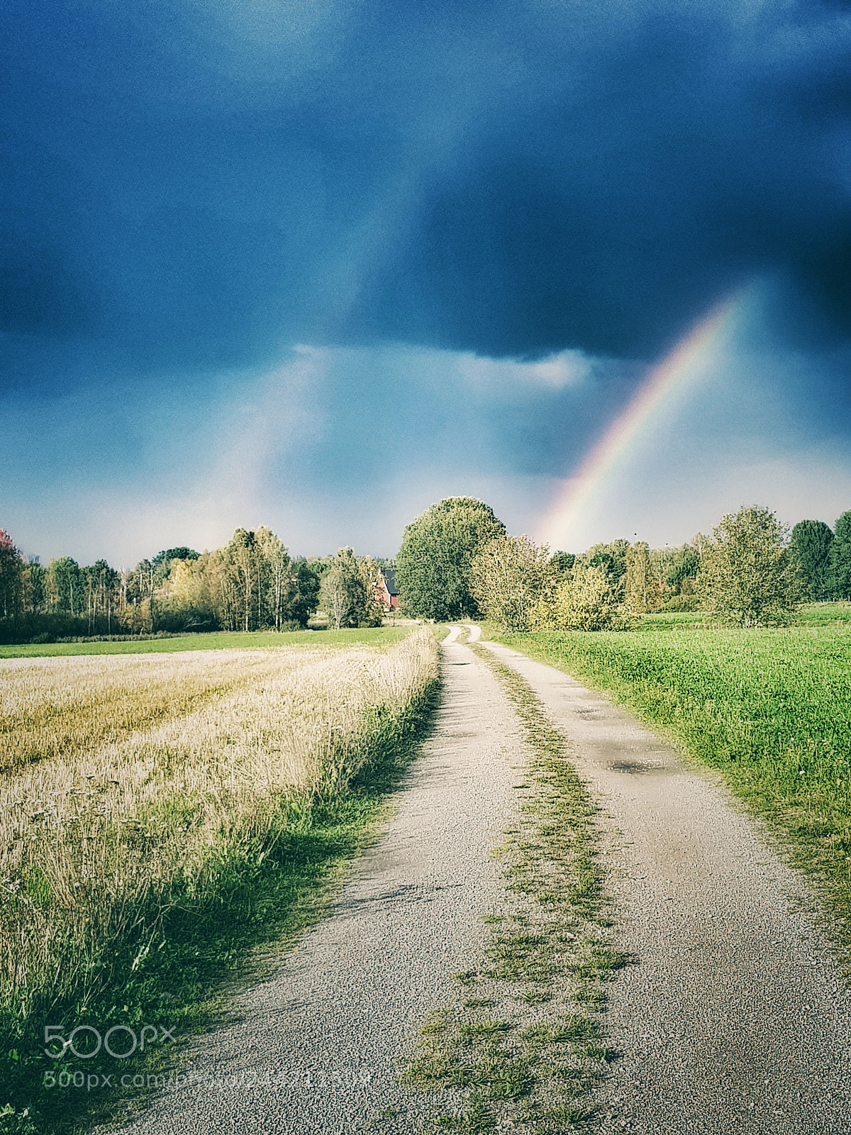 Samsung Galaxy S8 sample photo. Dubble rainbow photography