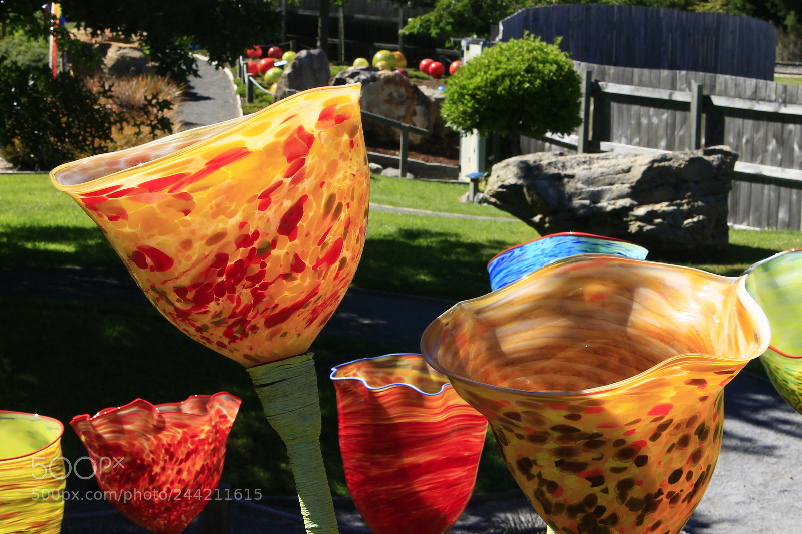 Canon EOS 1100D (EOS Rebel T3 / EOS Kiss X50) sample photo. Lava glass flowers photography