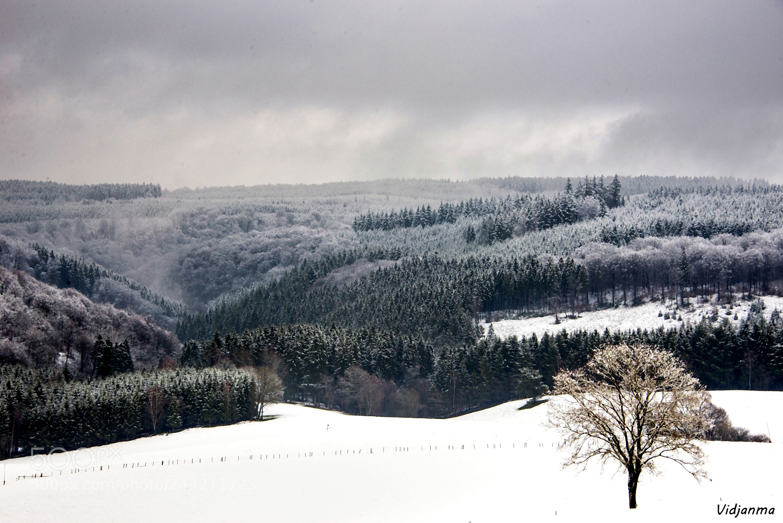 Nikon D610 sample photo. Guardian of the valley photography