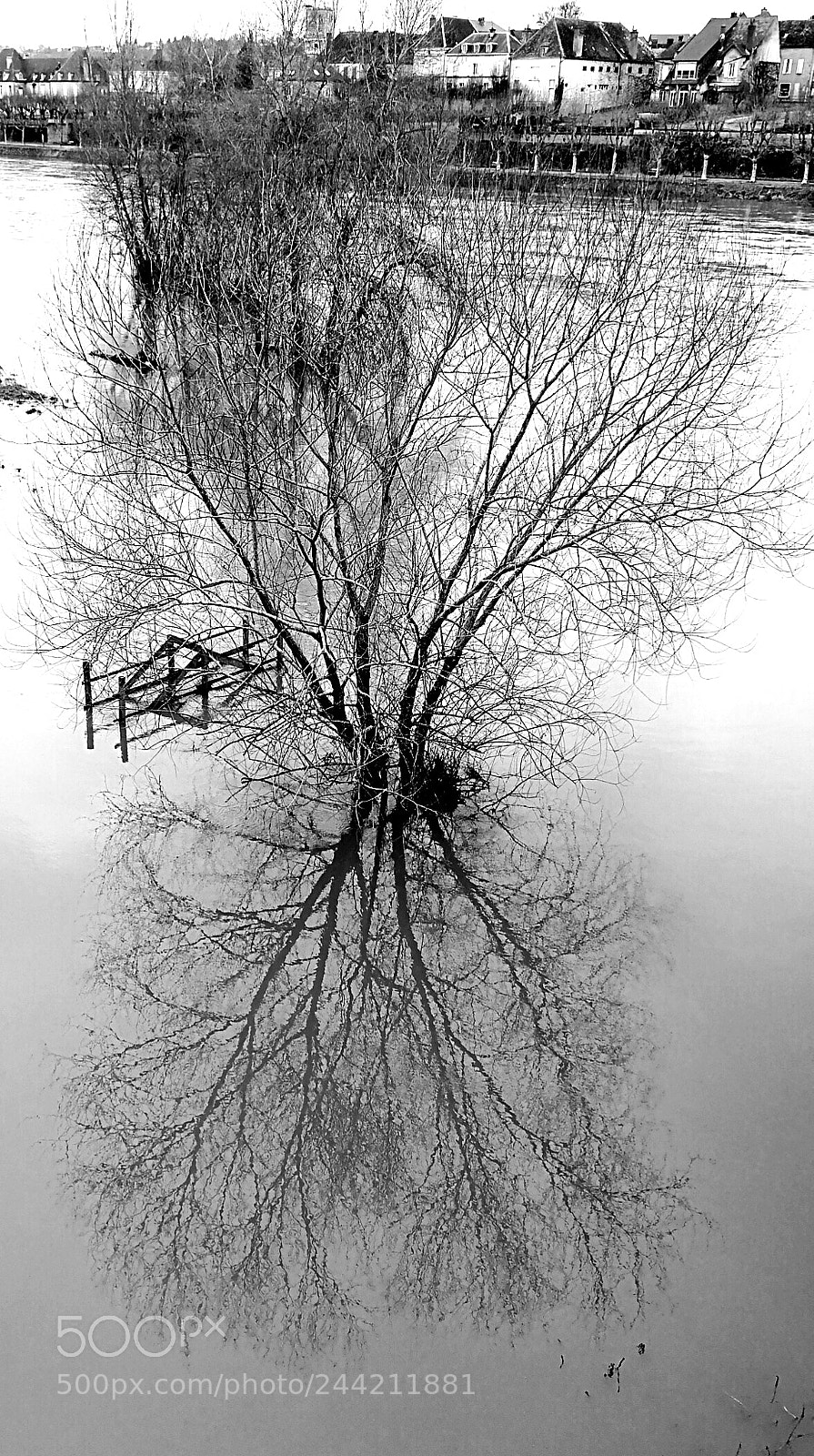 HUAWEI Honor 9 sample photo. Flood of the loire photography