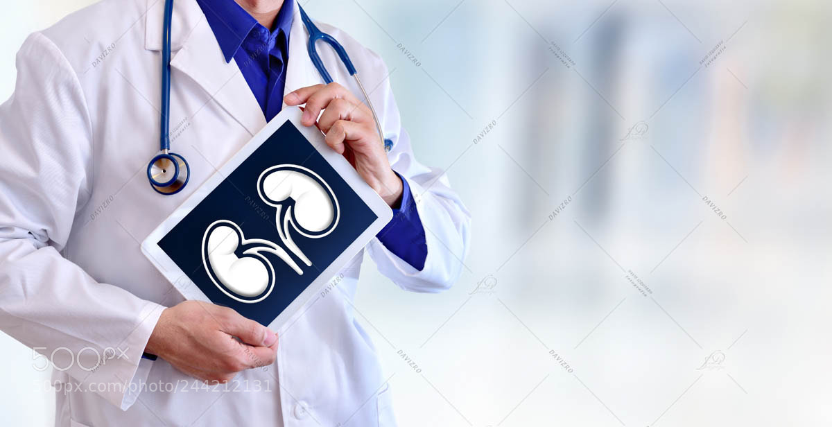 Nikon D810 sample photo. Doctor showing a kidney photography
