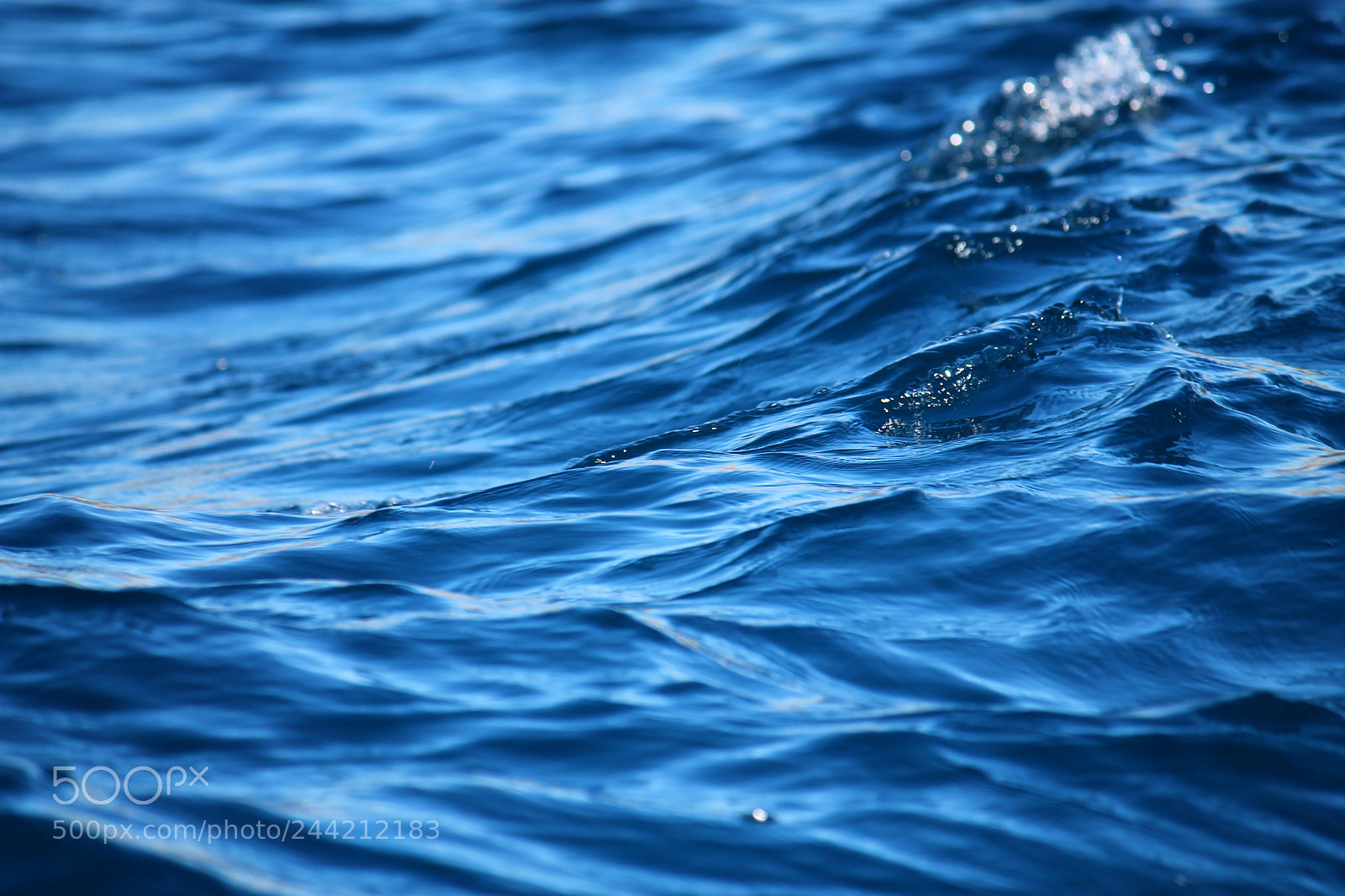 Canon EF-S 55-250mm F4-5.6 IS II sample photo. Blue and deep photography