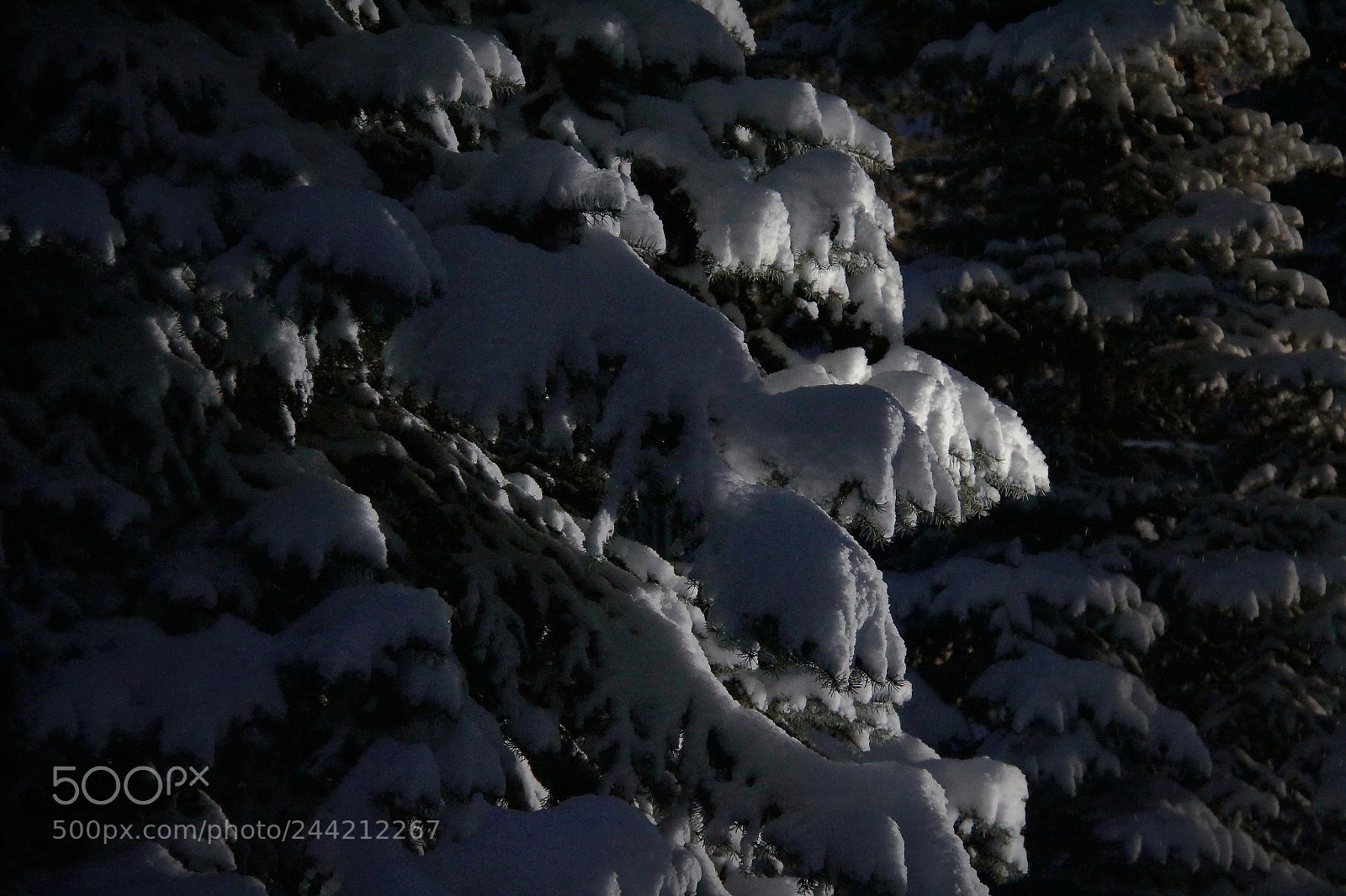 Canon EOS sample photo. Winter night photography