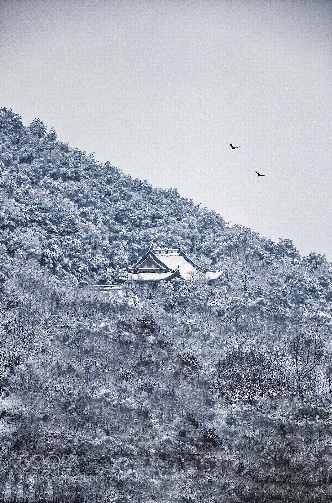 Nikon D7000 sample photo. 杭州永福寺湖山一览 photography
