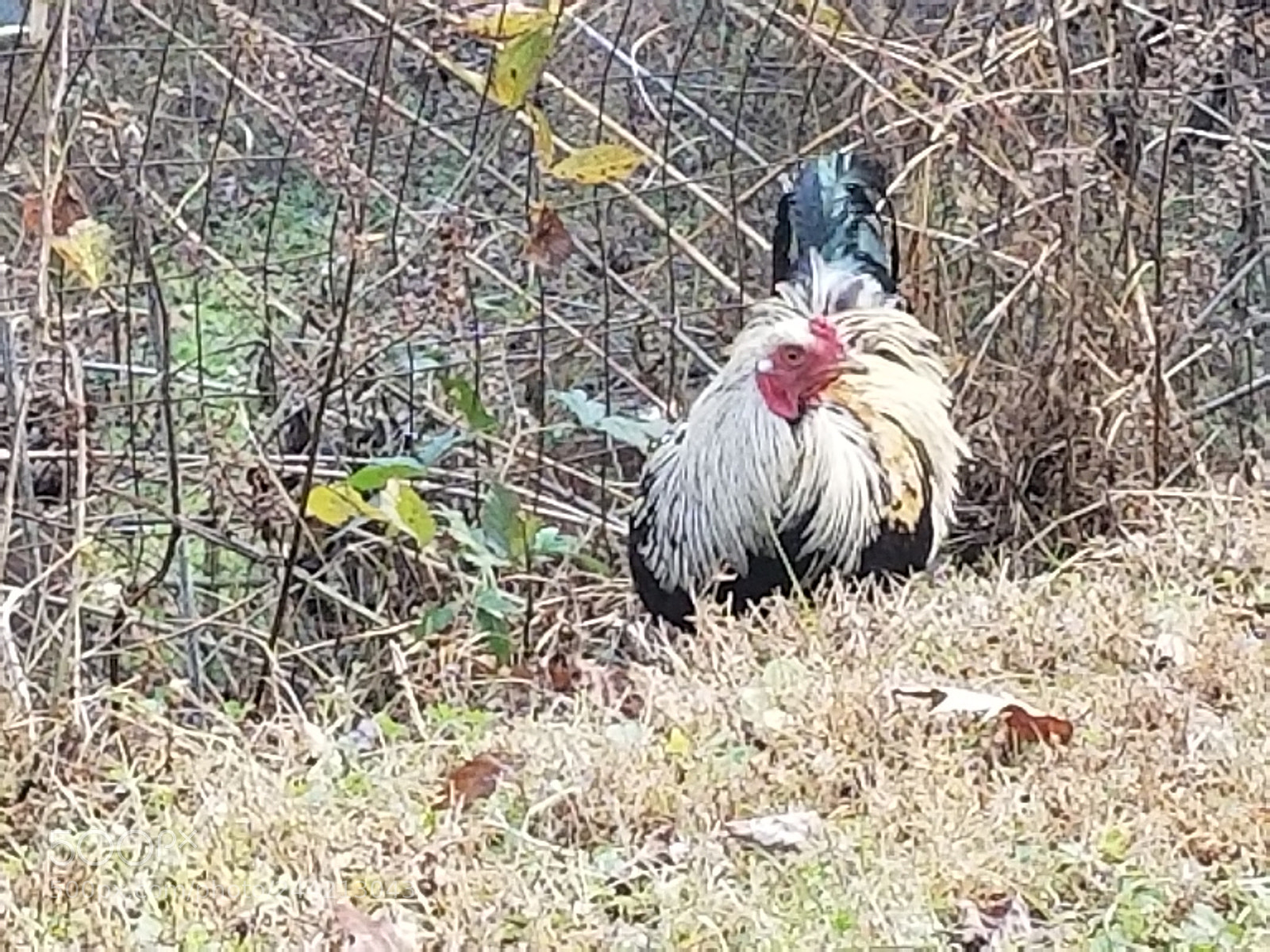 Samsung Galaxy S8 sample photo. Untitled photography