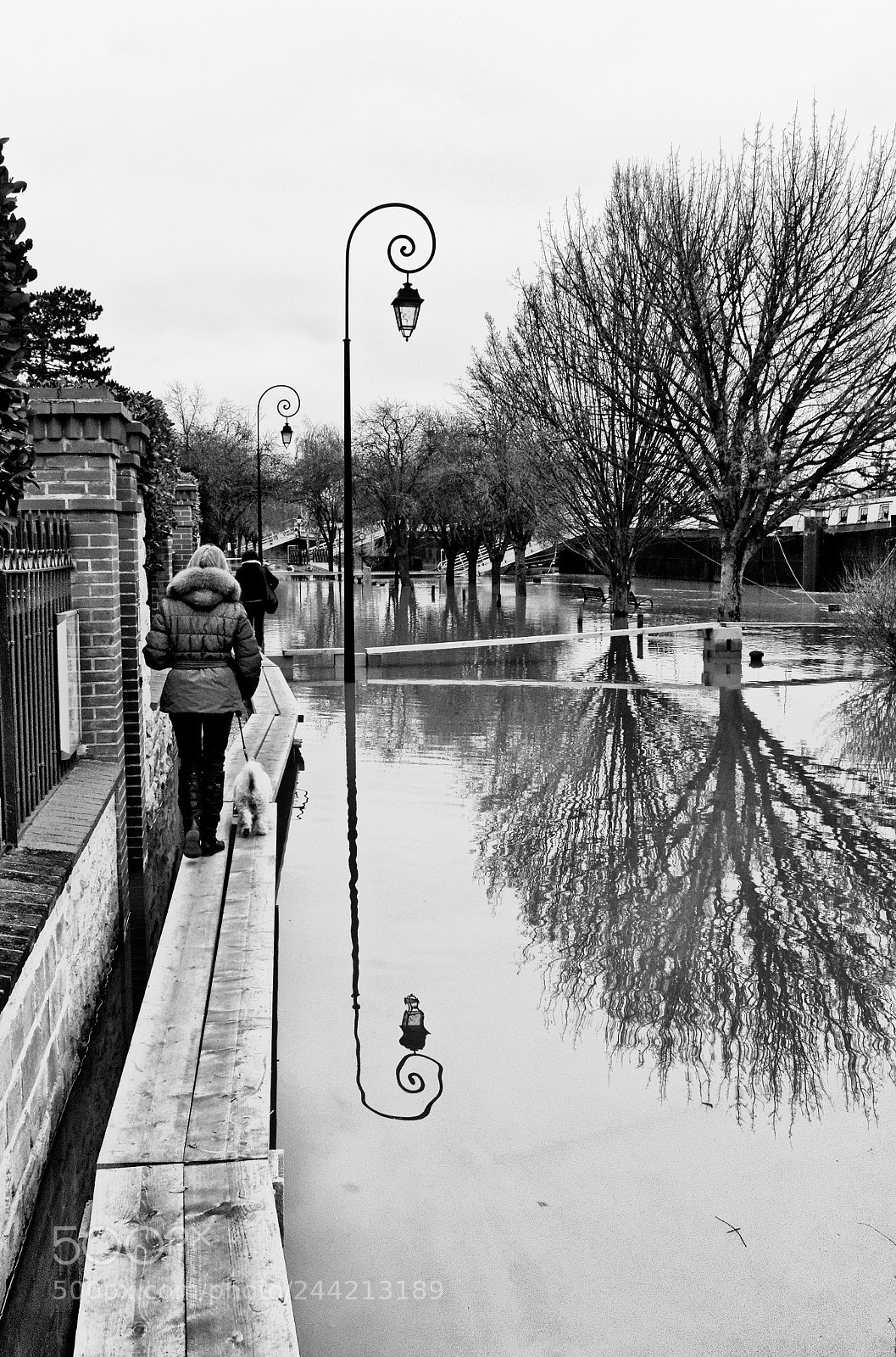 Nikon D3100 sample photo. Seine flood photography