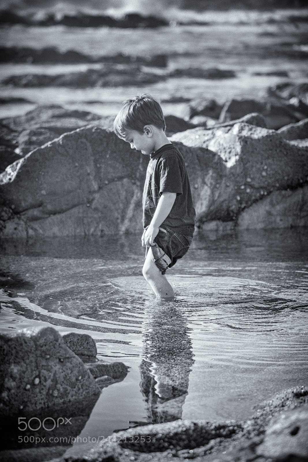 Sony a7R II sample photo. Explorer photography