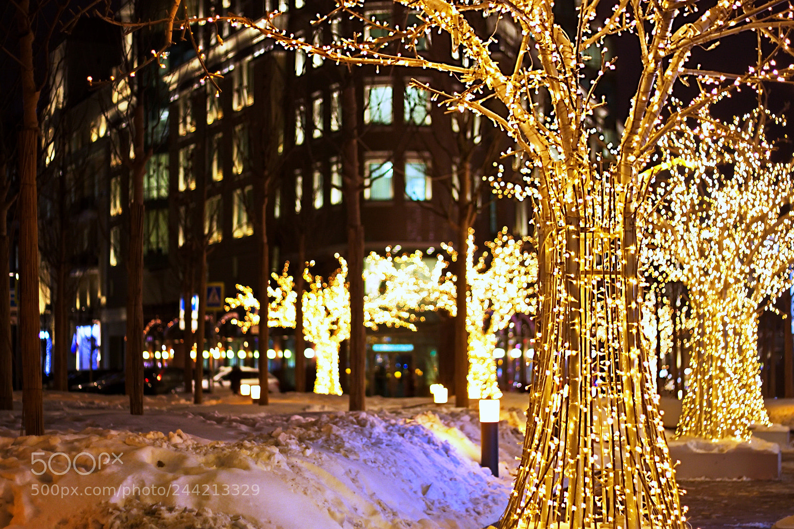 Canon EOS 500D (EOS Rebel T1i / EOS Kiss X3) sample photo. Lights photography
