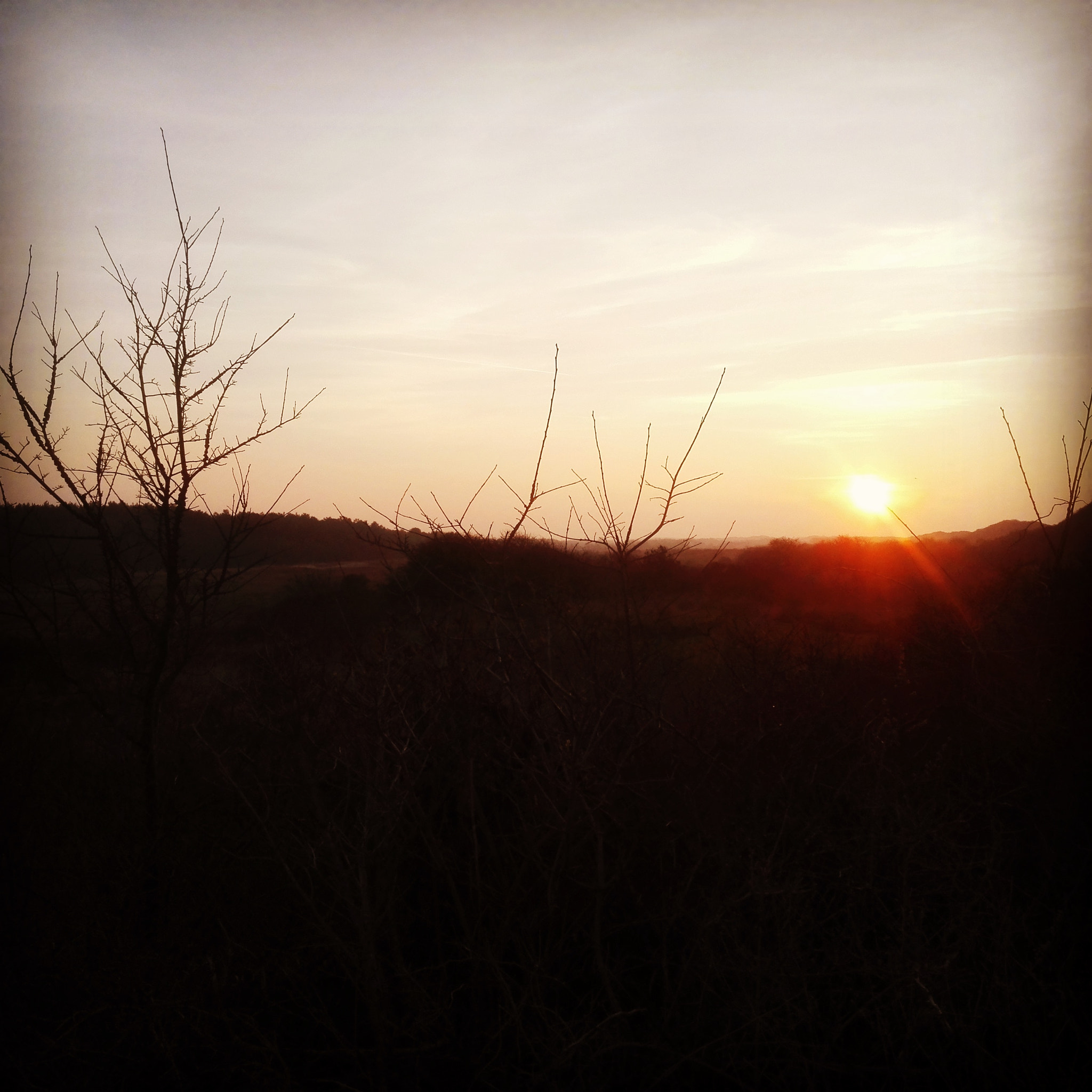 HUAWEI P7-L10 sample photo