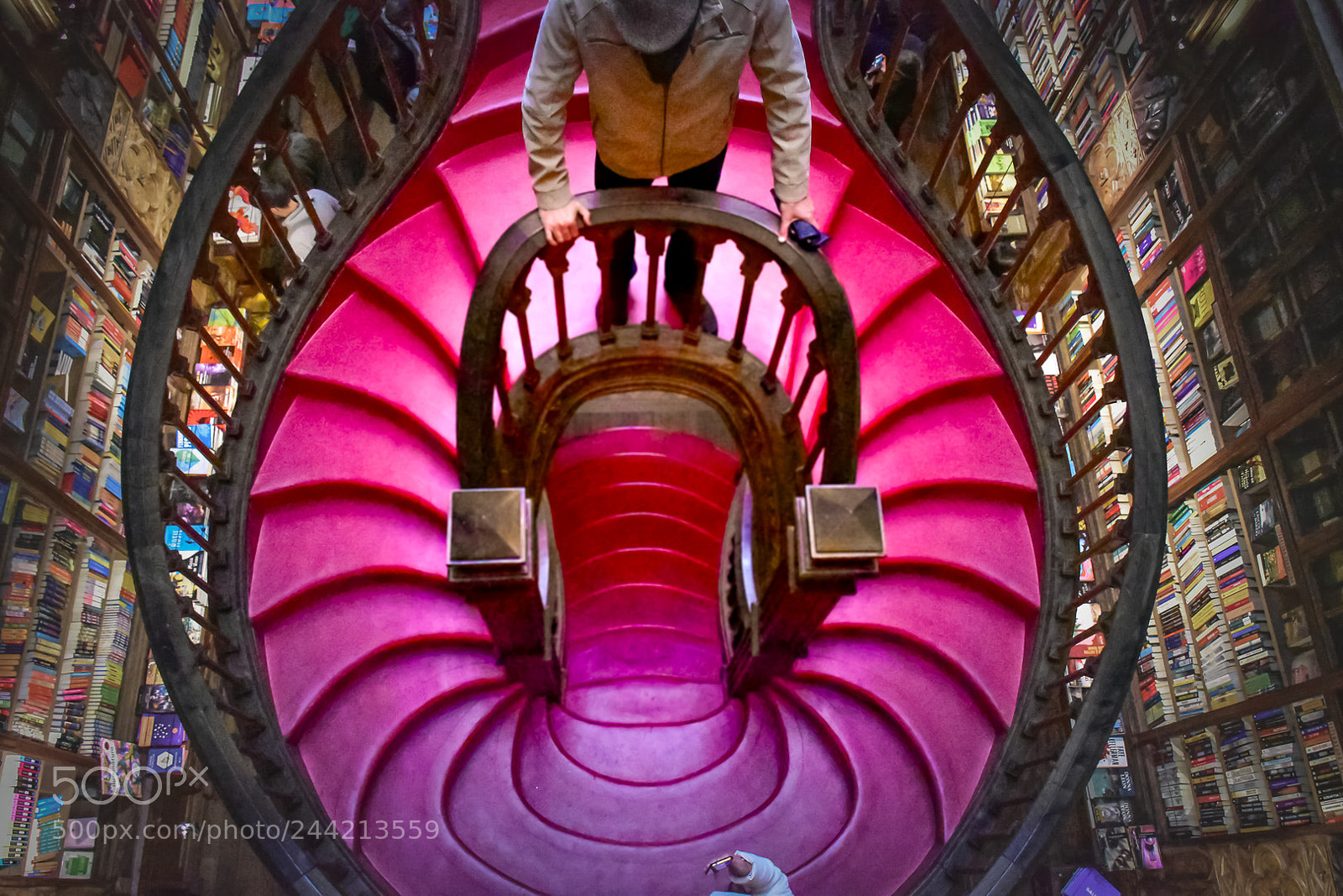 Nikon D5600 sample photo. Porto - lello bookstore photography