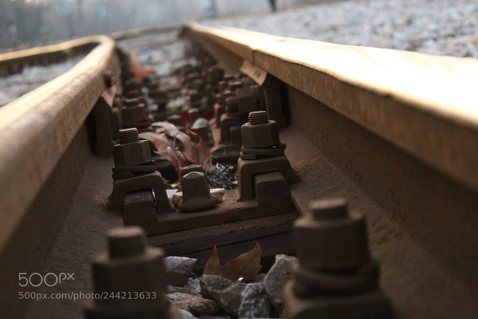 Canon EOS 1300D (EOS Rebel T6 / EOS Kiss X80) sample photo. Railway photography