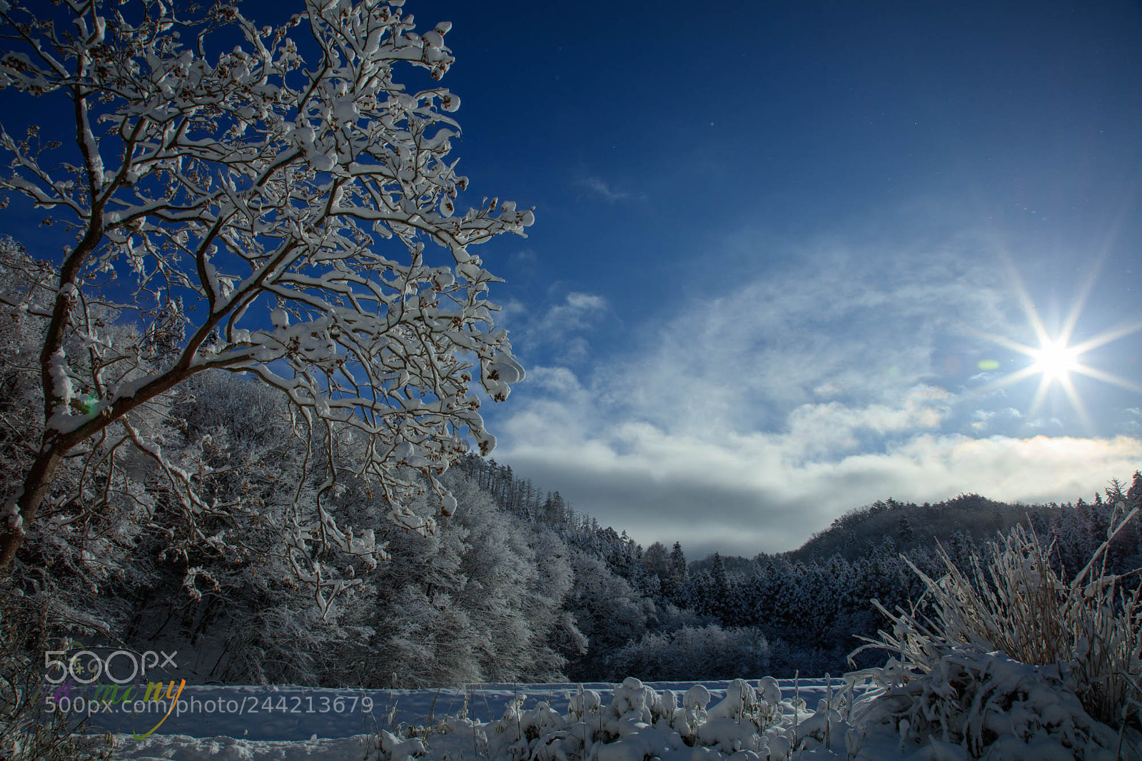 Canon EOS 5DS sample photo. Fine morning is cold photography