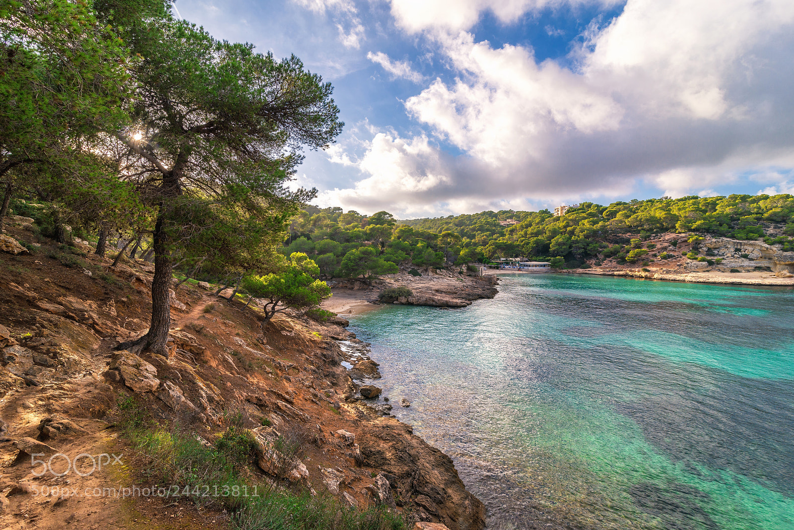 Nikon D800 sample photo. Beach of cala portals photography