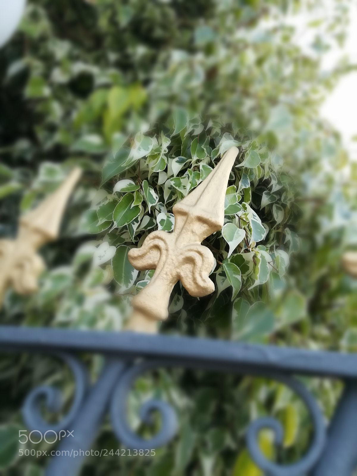 HUAWEI PRA-LX1 sample photo. Untitled photography