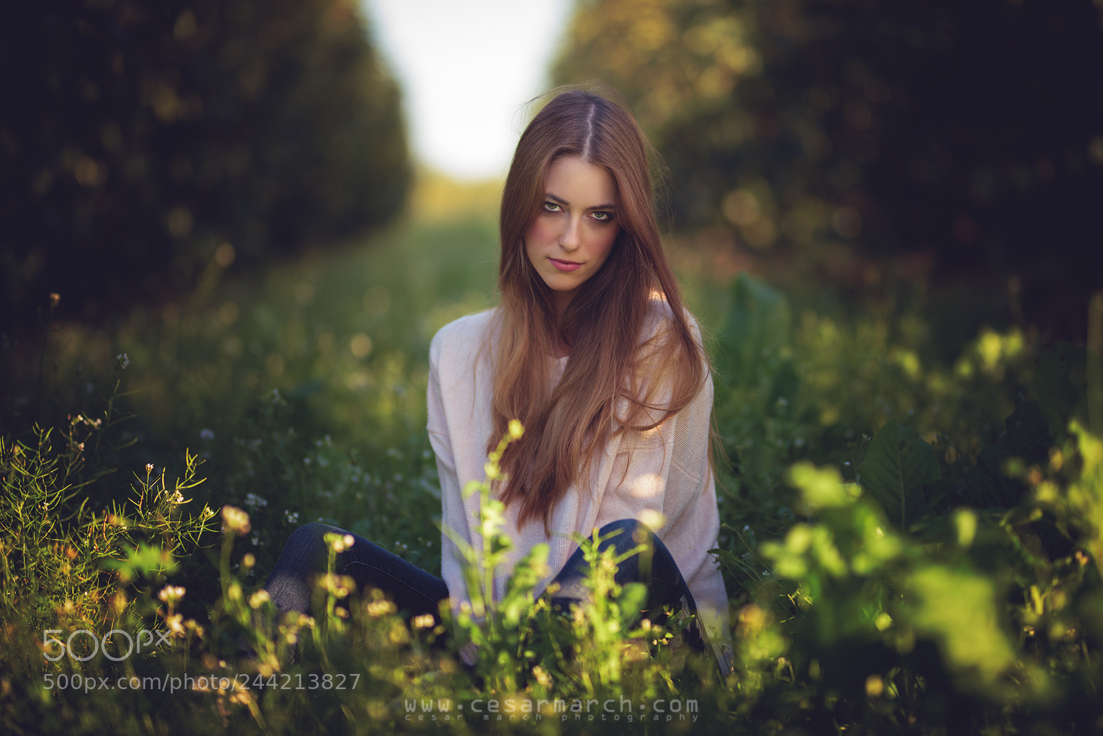 Nikon D810 sample photo. Miradas photography