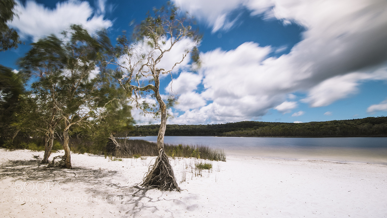 Nikon D800 sample photo. Brown lake on stradbroke photography