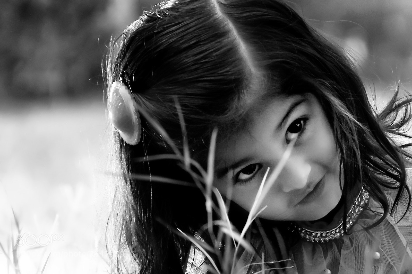 Canon EOS 60D sample photo. Untitled photography