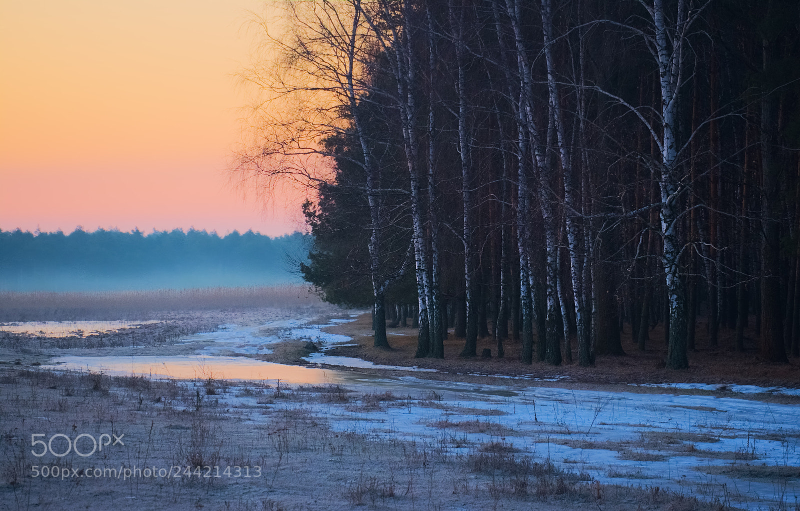 Fujifilm X-E1 sample photo. Spring dawn beside a photography