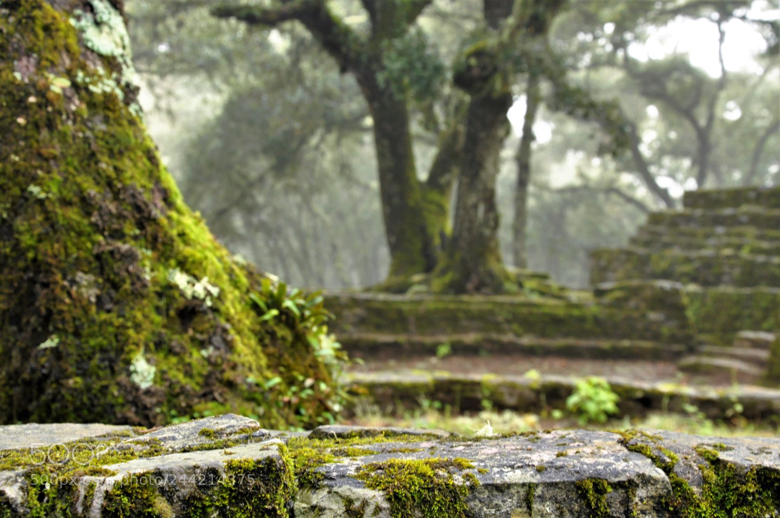 Nikon D90 sample photo. Ruins photography