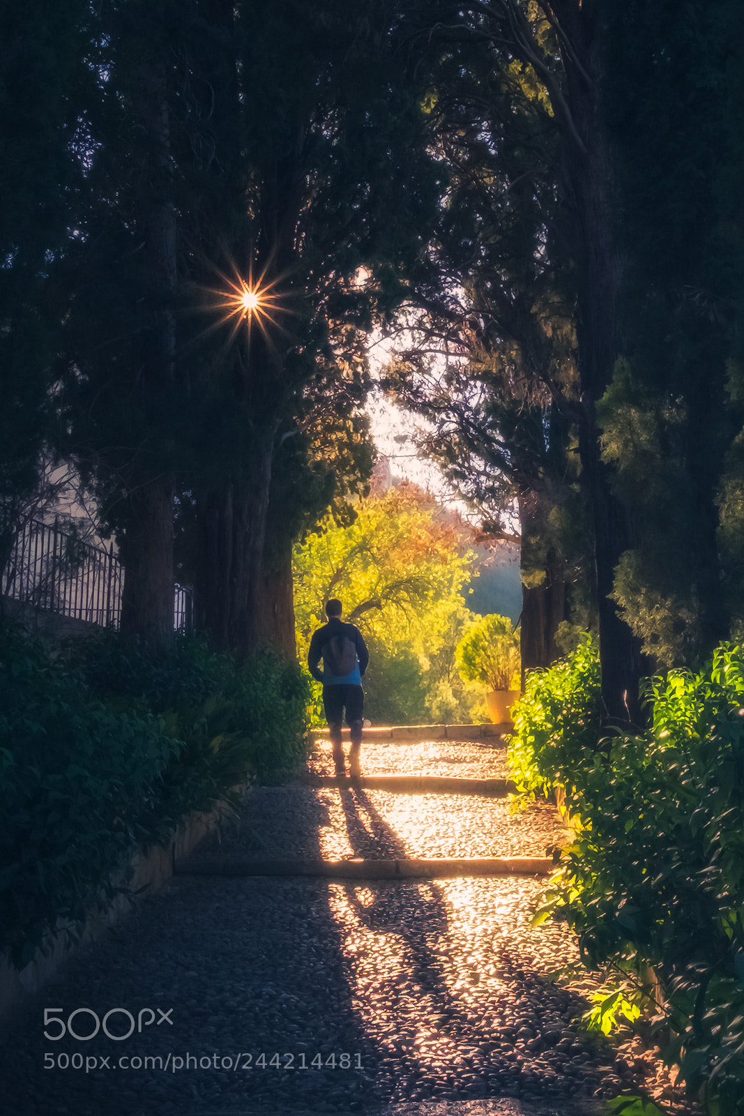 Fujifilm X-T1 sample photo. Sun and shadow photography
