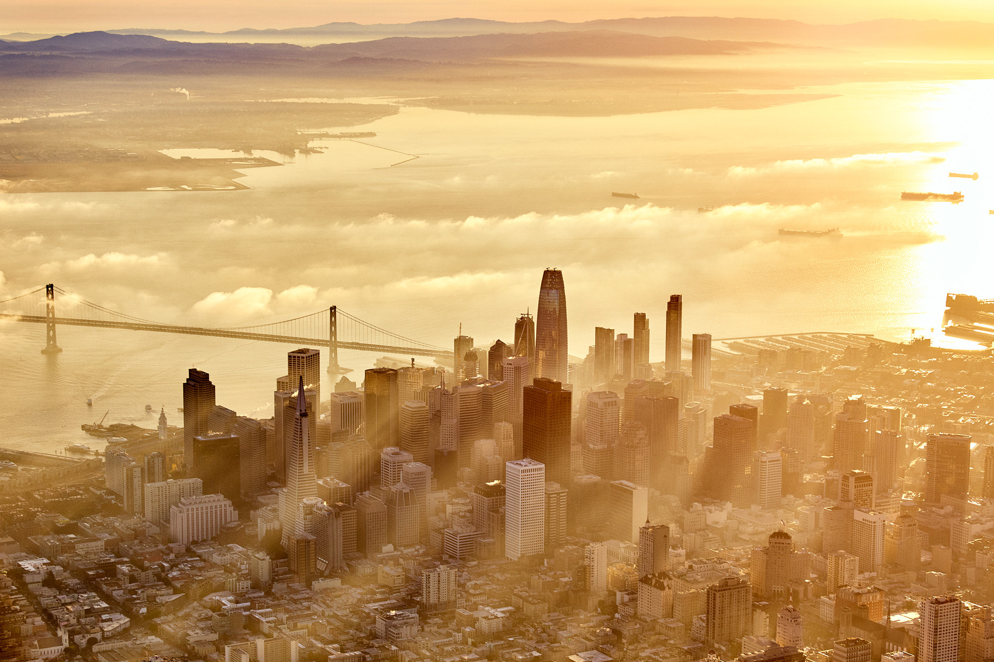Phase One IQ150 sample photo. San fransisco dreamin' photography