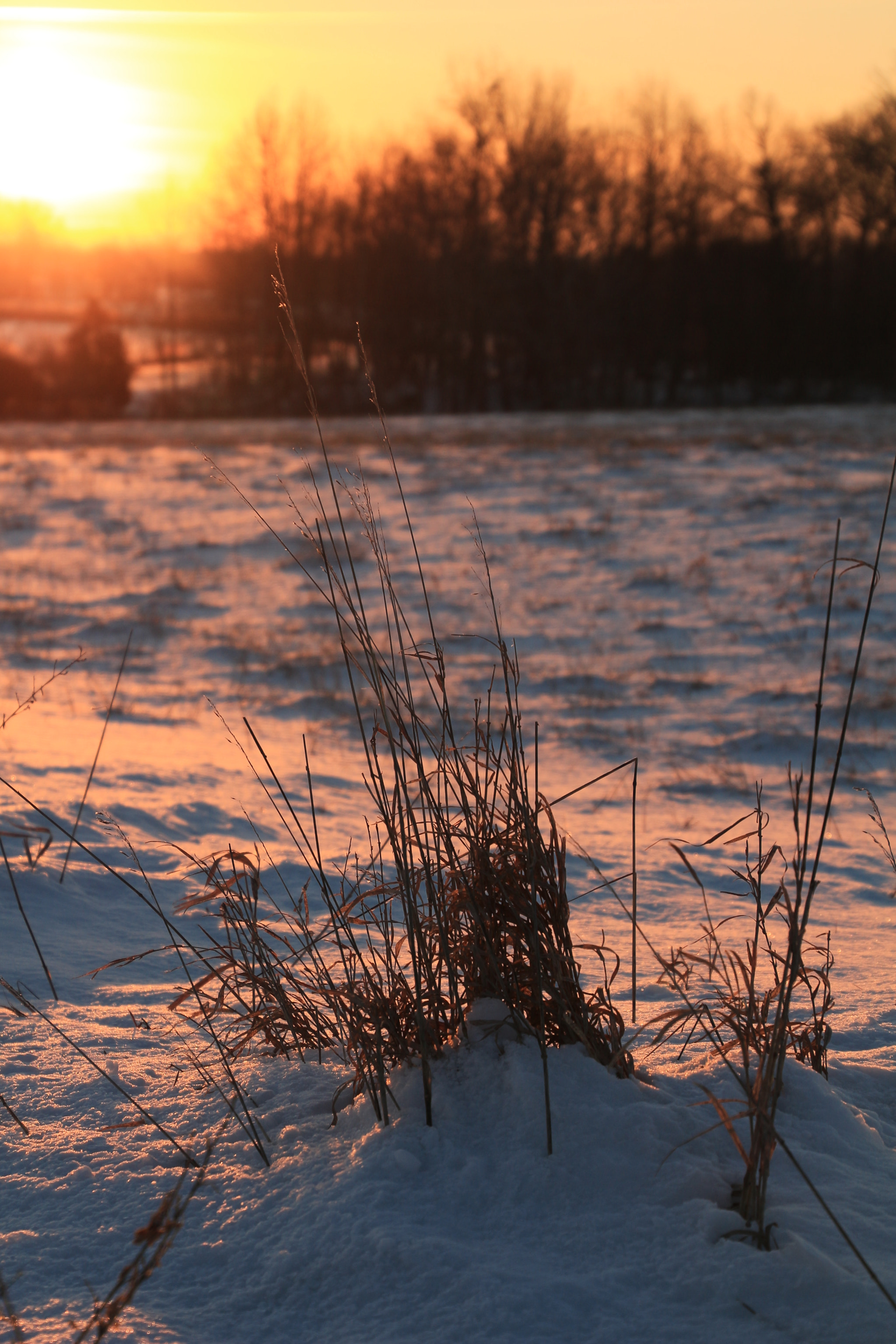 Canon EOS 700D (EOS Rebel T5i / EOS Kiss X7i) sample photo. Sunrise shadows photography