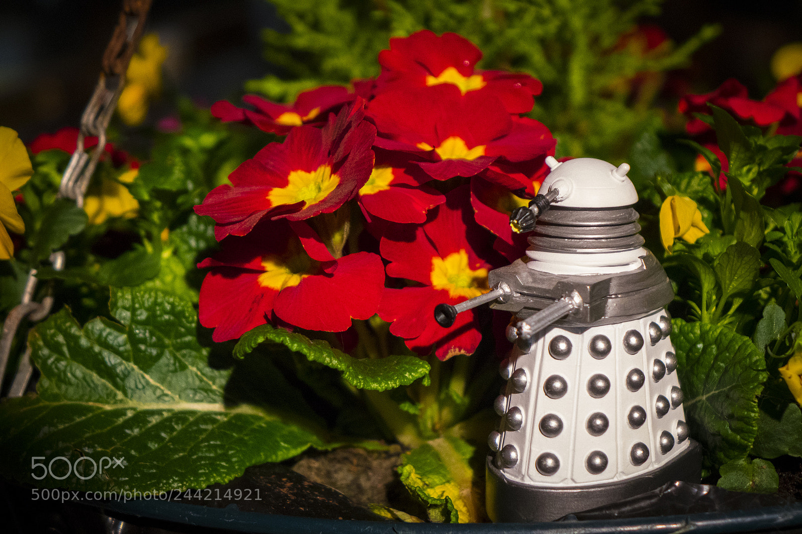 Sony Cyber-shot DSC-RX10 II sample photo. New paradigm dalek photography