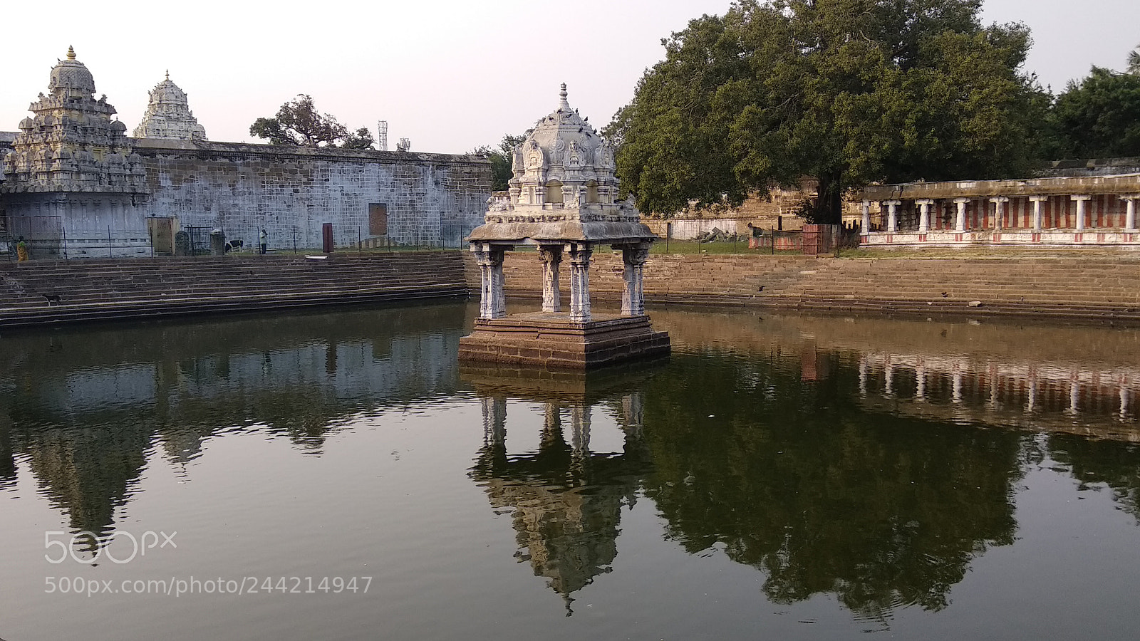 Xiaomi Mi A1 sample photo. Untitled photography