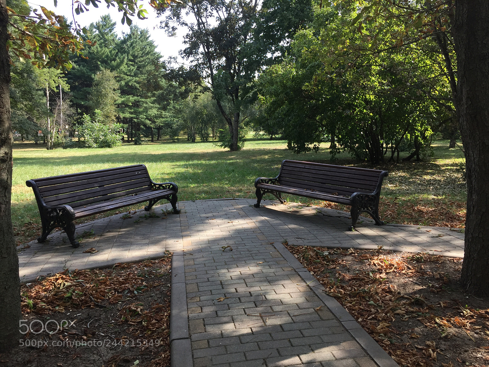 Apple iPhone 6 Plus sample photo. Untitled photography