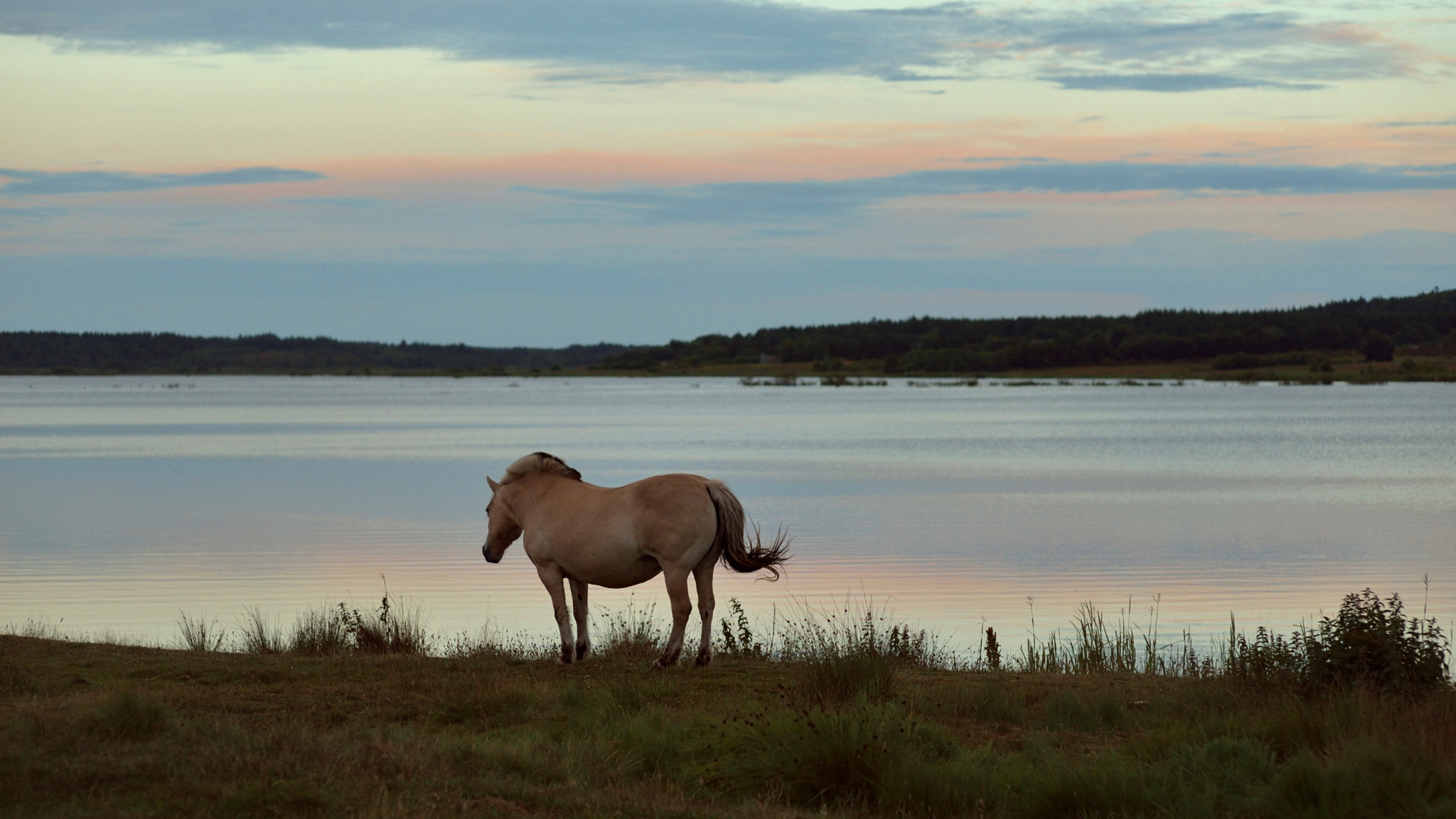 Nikon Df sample photo. North of light #ii photography