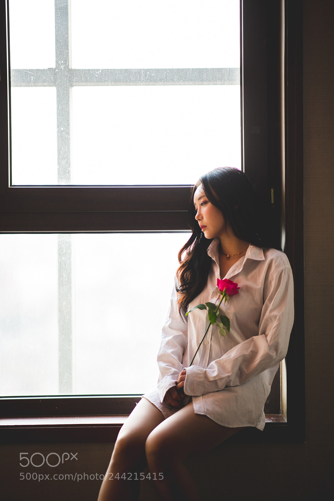 Nikon D850 sample photo. Window photography